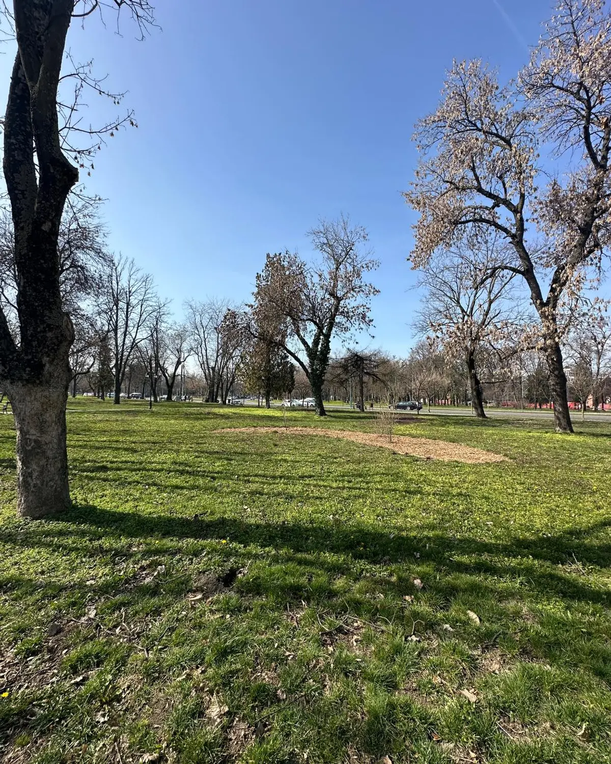 Parcul Cetate din centrul Timișoarei, reamenajat de echipele Horticultura